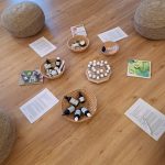 Workshop Babypflege